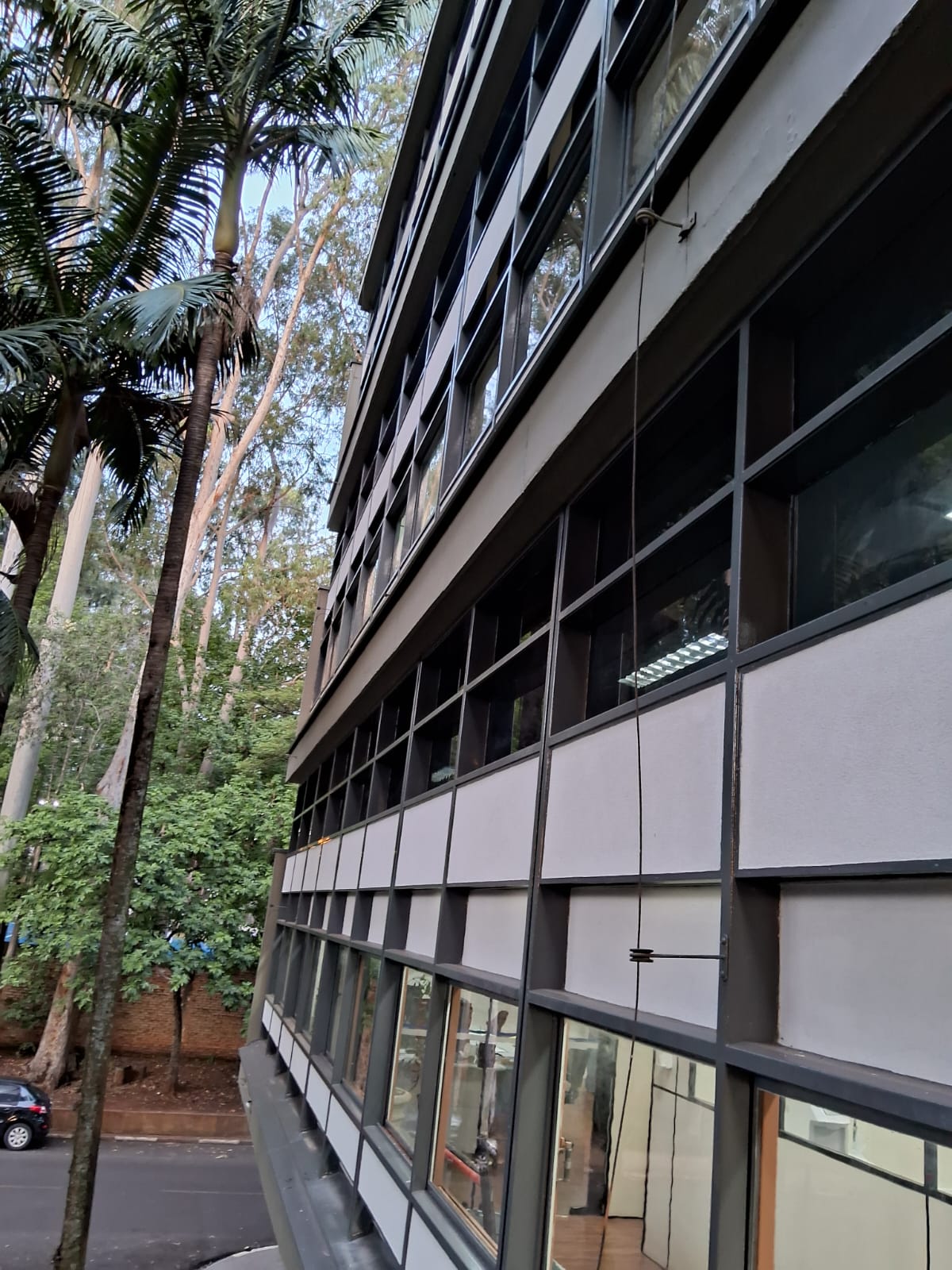 Espelhado Unicamp Pintura 2